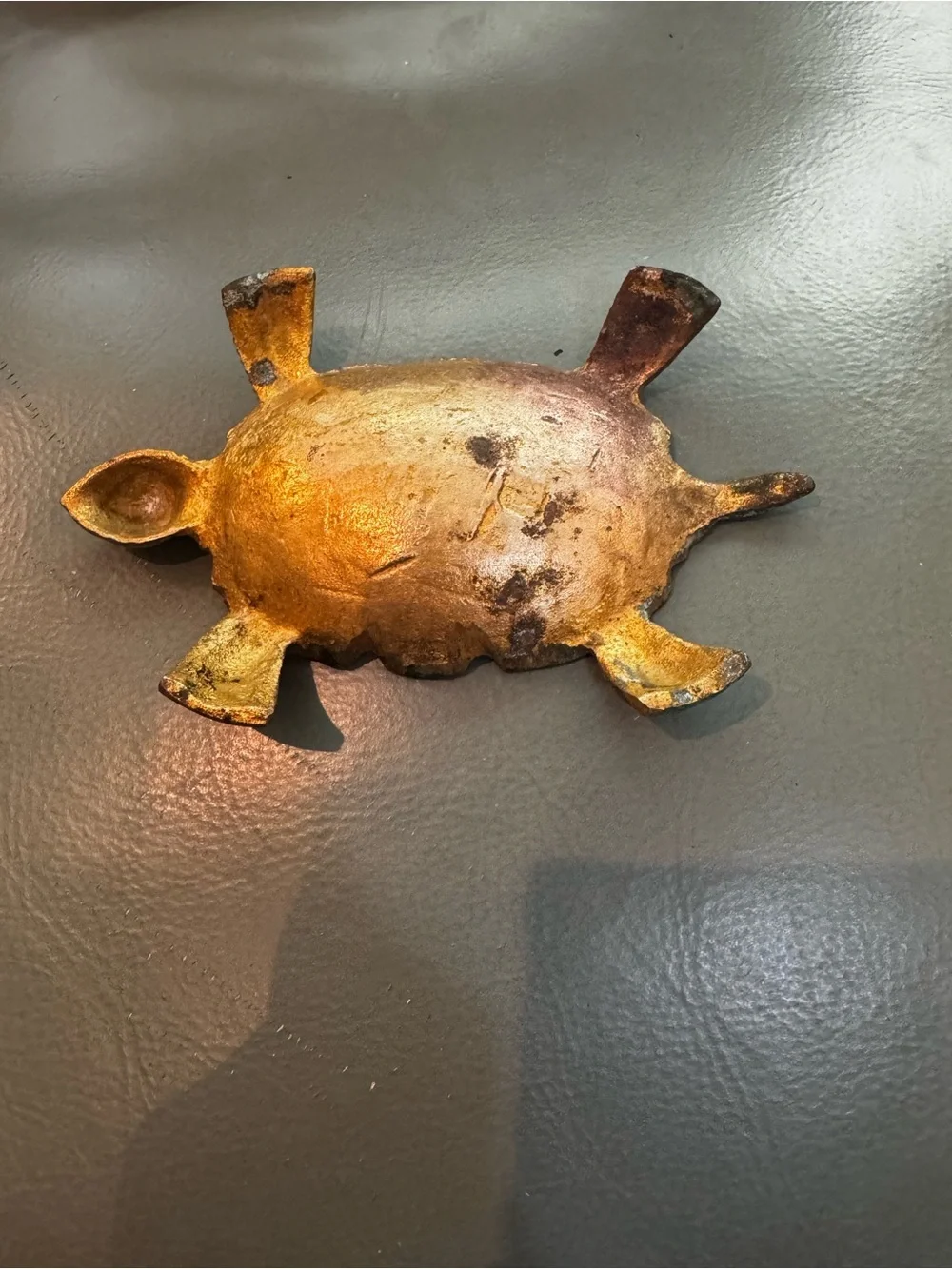 Source Unknown cast turtle